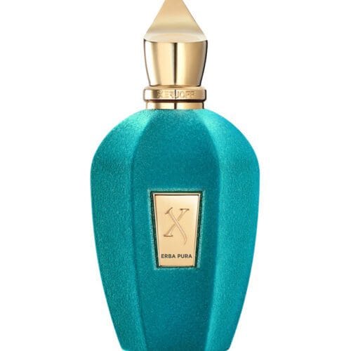 Erba Pura by Xerjoff EDP - 100ML